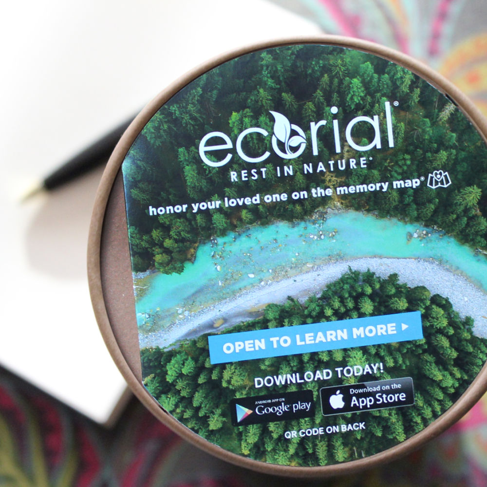 Peaceful Ocean Sunset Scattering - Endswell