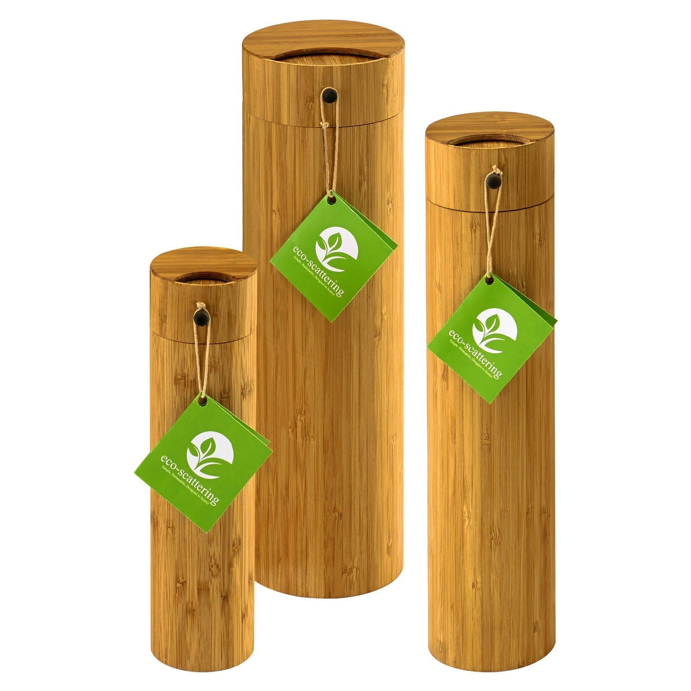 Eco Scattering - Endswell