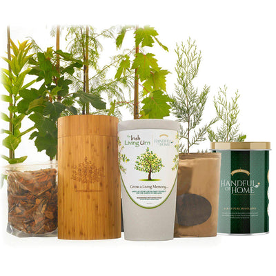 The Irish Living Urn - Endswell