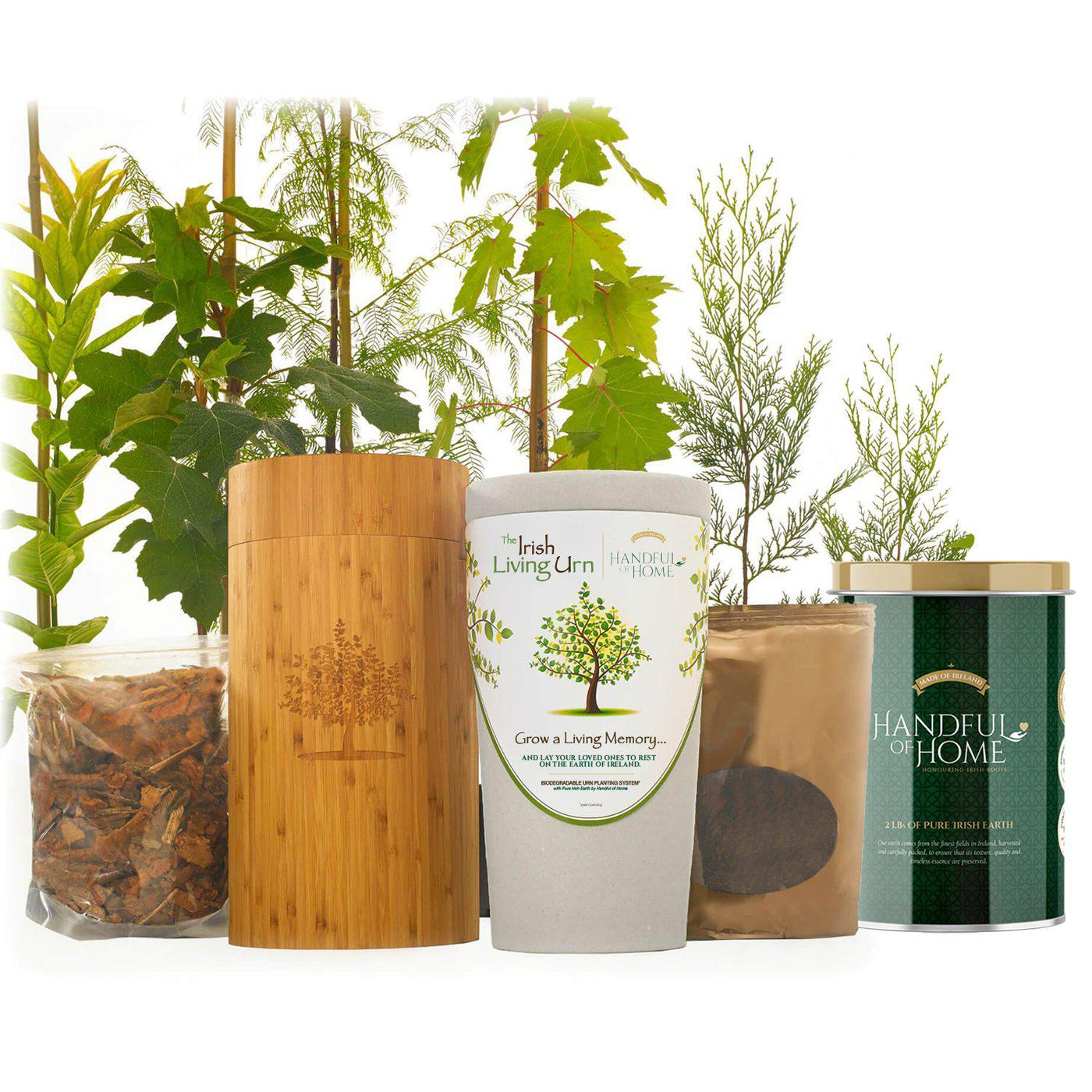 The Irish Living Urn - Lotus