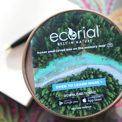 Dove to Heaven Scattering - Front Range