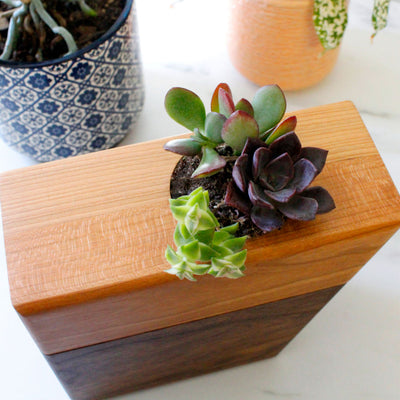 The Living Urn Planter™ - Messenger