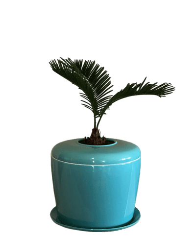 The Living Urn Indoors / Patio - Teraloom