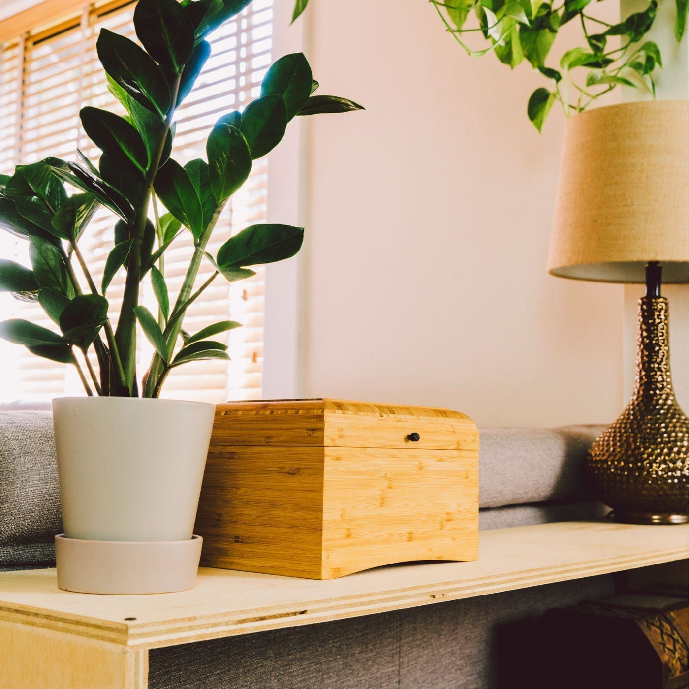 EcoHome™ - Be a Tree Cremation