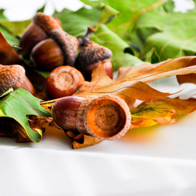 Pin Oak - Cremation Society