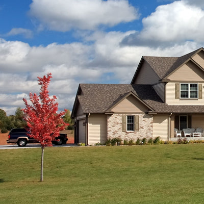 Red Maple - Greenhaven