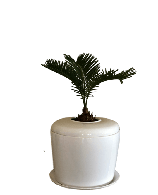 The Living Urn Indoors / Patio - Belk