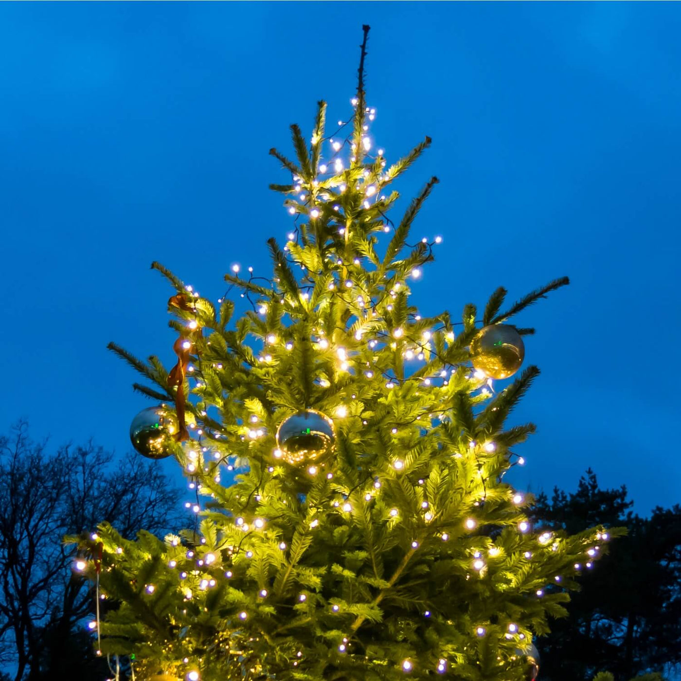 Christmas Tree - Akers James