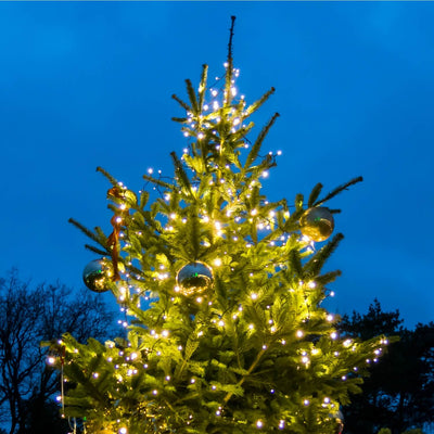 Christmas Tree - Akers James