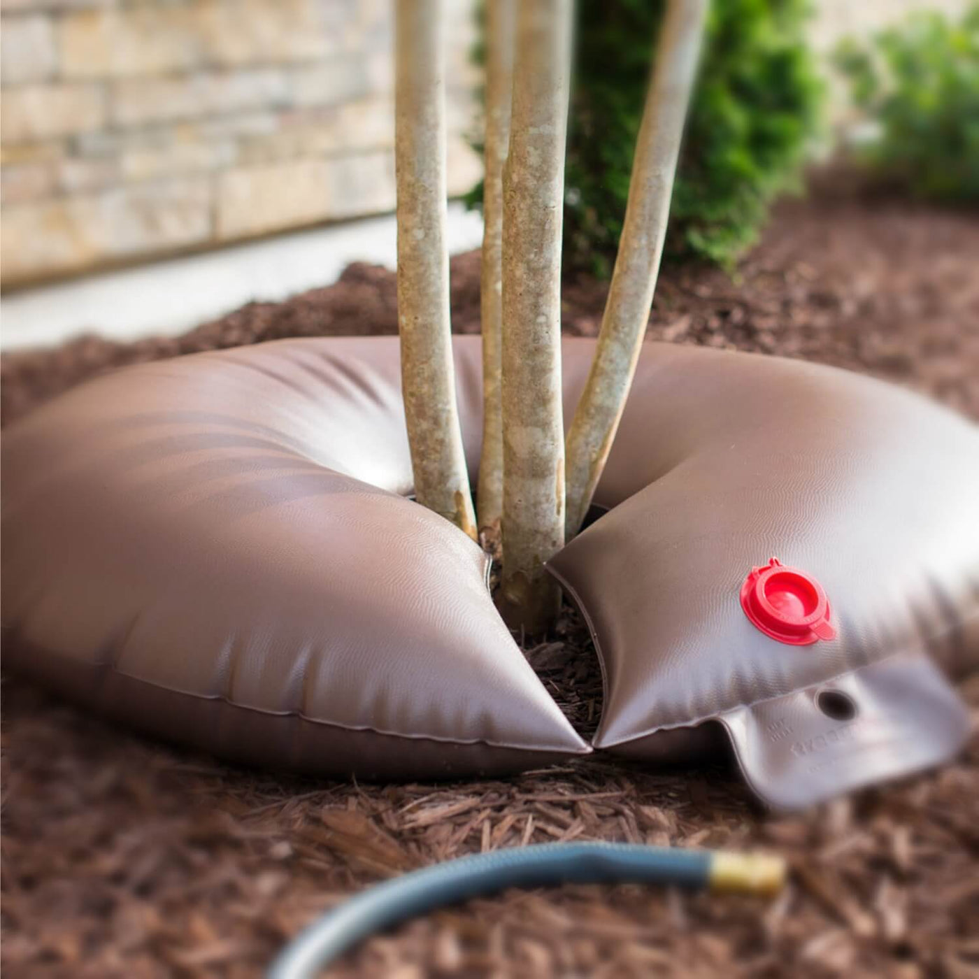 Slow Release Watering Bag - Be a Tree Cremation